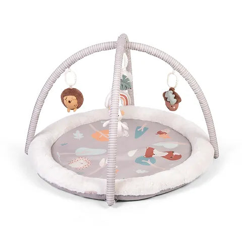 Woodland Walks Play Gym