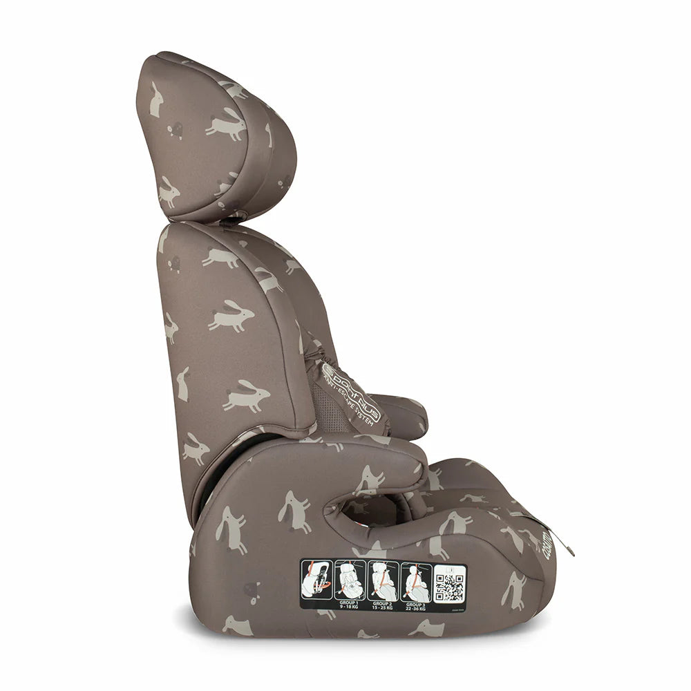 Cosatto Zoomi 123 Car Seat - Charcoal Lollop