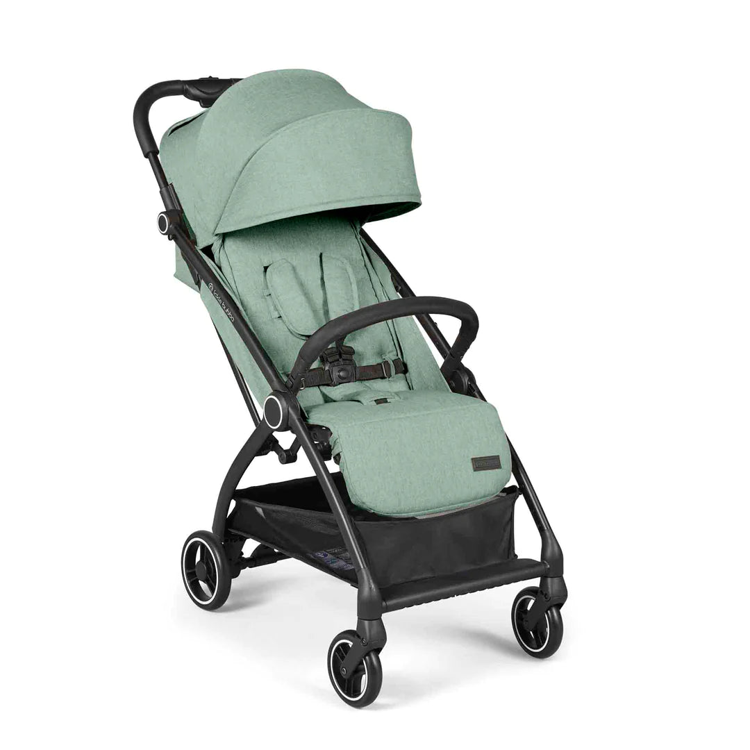 Ickle bubba Aries prime - Sage