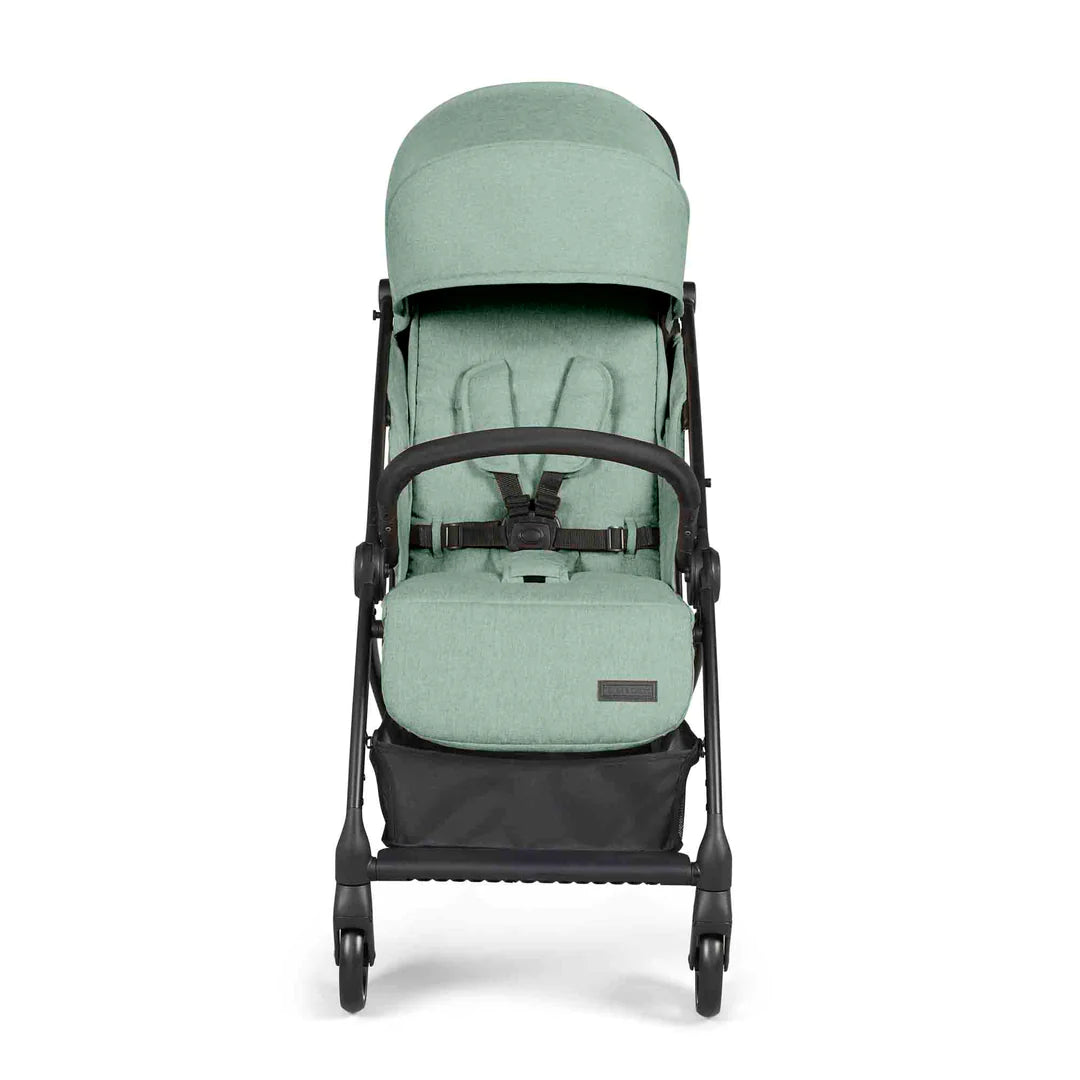 Ickle bubba Aries prime - Sage
