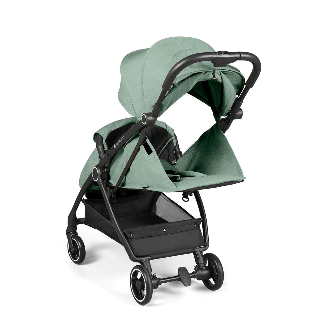 Ickle bubba Aries prime - Sage