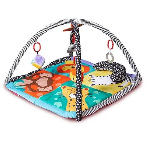 Red kite wild safari playgym