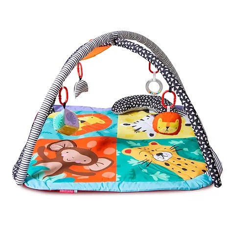 Red kite wild safari playgym