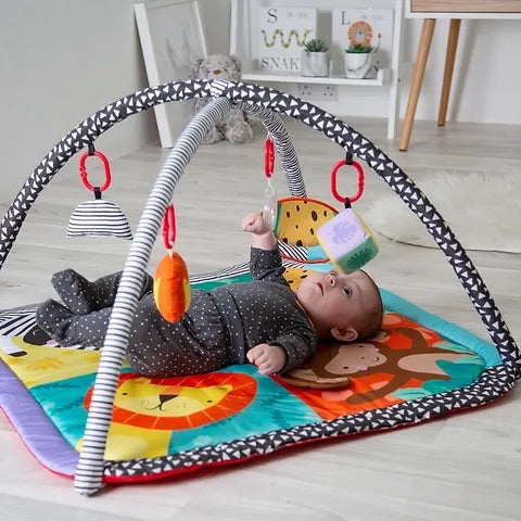 Red kite wild safari playgym