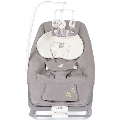 Joie Dreamer rocker Fern