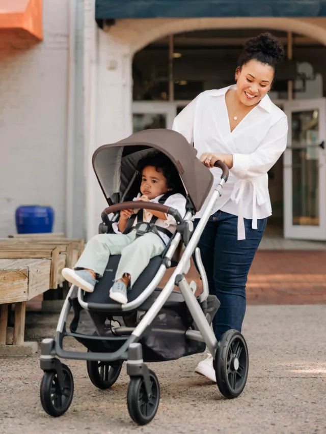 UPPAbaby Vista V2 Pushchair and Carrycot Theo