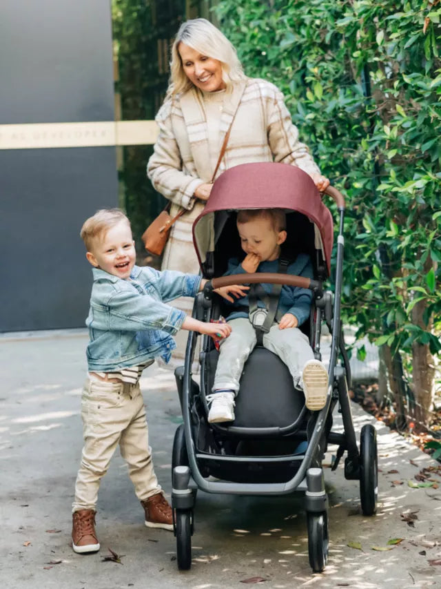 UPPAbaby Vista V2 Pushchair and Carrycot Lucy