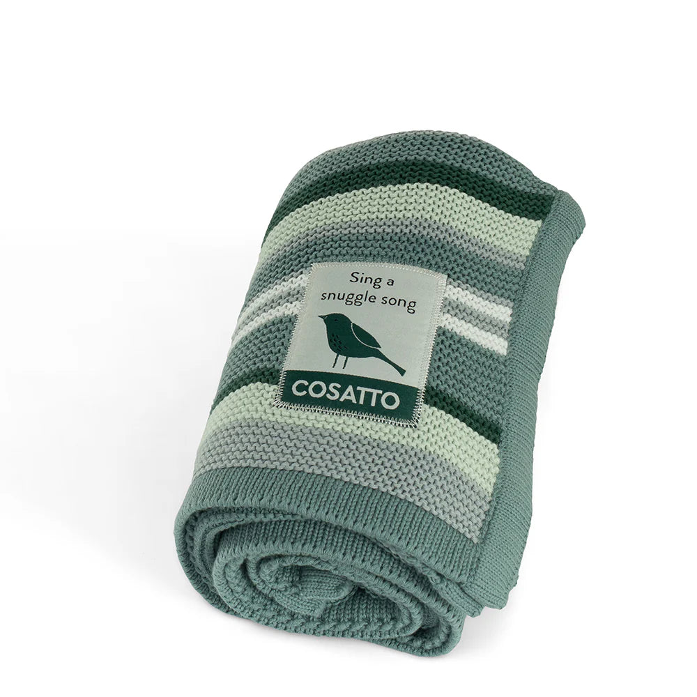 Cosatto Wow 3 Special Edition Accessory Bundle Wildwood Pre Order Mid Jan Delivery