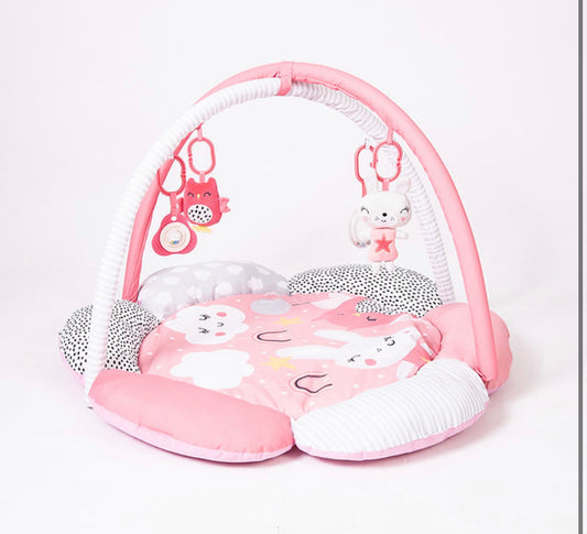 Play Gym Dreamy Meadow - Padded Play Gym with Hanging Toys
